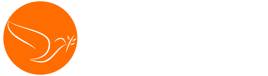 default-logo